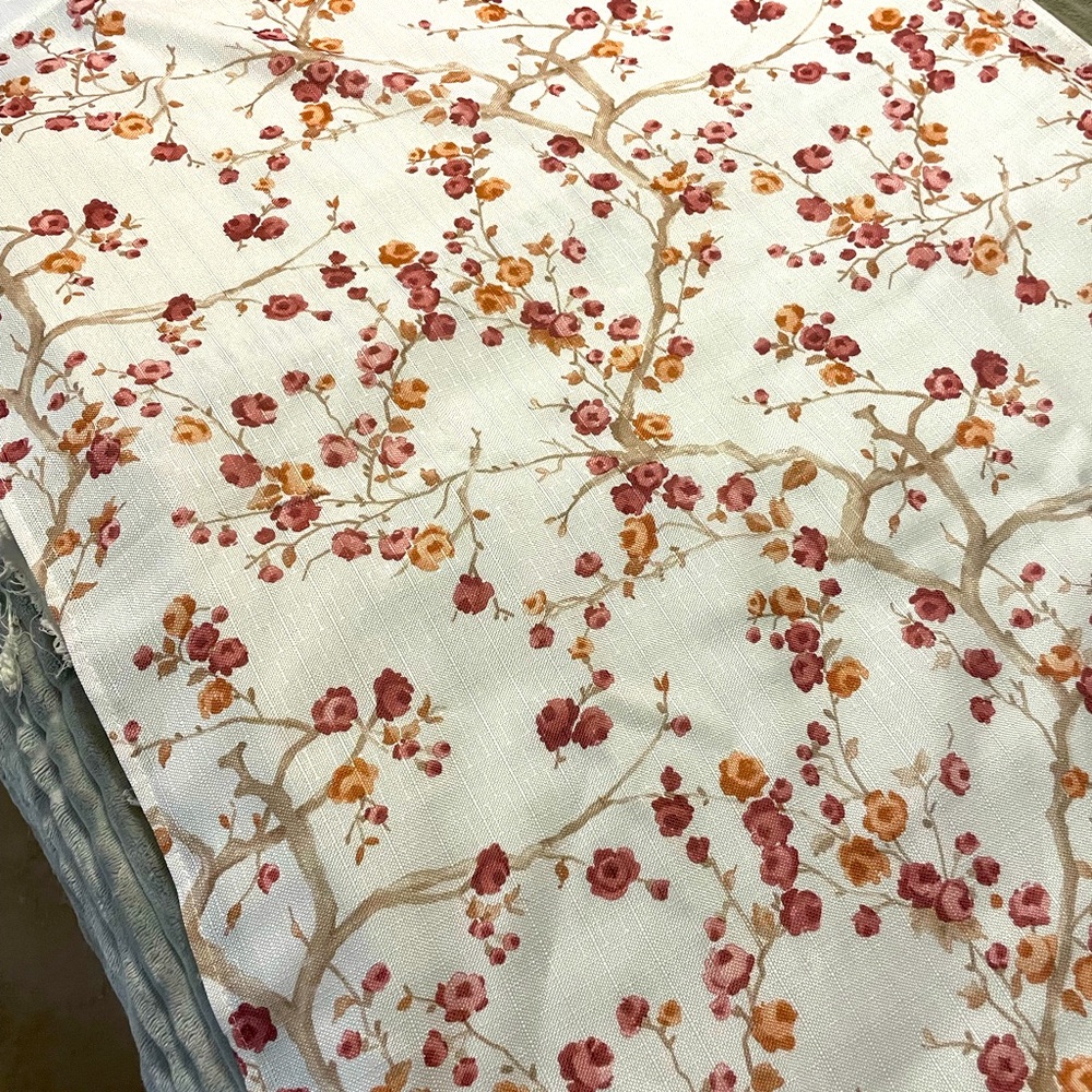 Window curtains